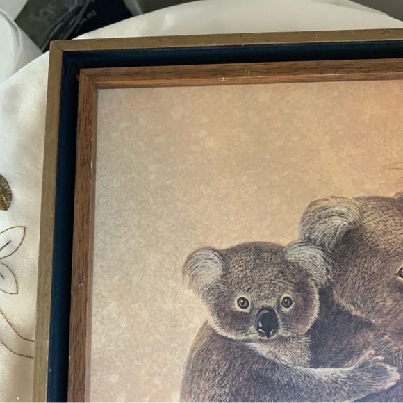 Vintage koala framed print - Picture 5 of 10